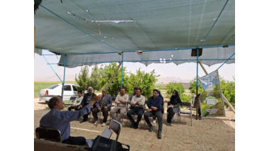 روز مزرعه وکارگاه آموزشی تغذیه غلات در دشت پرزان