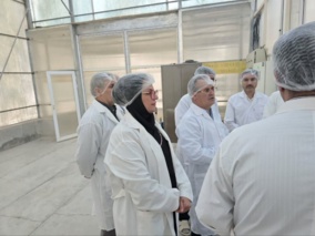 گزارش تصویری | بازدید از باغ مادری شرکت فجر اصفهان