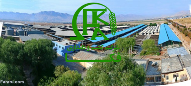 حضور میدانی محققین مرکز تحقیقات کشاورزی اصفهان در شرکت کشت و دام فکا