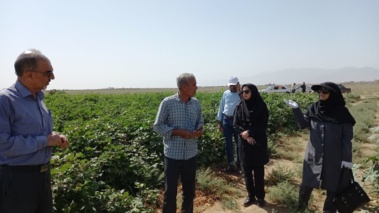 روز انتقال یافته ها در دشت تسمیجان شهرستان کاشان