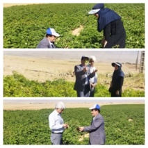 بازدید محققین مرکز تحقیقات کشاورزی اصفهان از مزارع طرح های تحقیقاتی