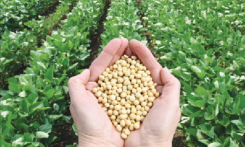 اصلاح بذر را رقابتی کنید