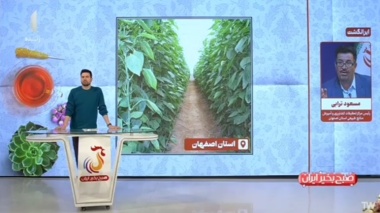 ماموریت ذاتی سازمان تات در راستای تامین هسته اولیه بذری