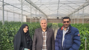 برگزاری دوره آموزشی شناخت آفات و بیماری‌های گلخانه‌ای