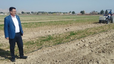 بازدید رئیس مرکز اصفهان از روند مبارزه با علف های هرز مزارع بذری غلات