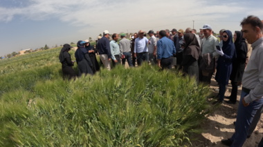 گزارش صدا و سیمای مرکز اصفهان از همایش افزایش نفوذپـذیری ارقام و بـذور غلات متحمـل به تنش خشـــکی و شوری در مرکز تحقیقات اصفهان