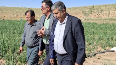 الگوسازی مرکز تحقیقات اصفهان؛ گامی مؤثر در توسعه کشاورزی دانش‌بنیان