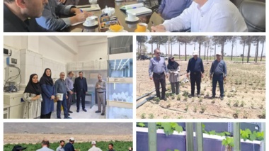 بازدید از طرح ها و مزارع پنبه اصفهان