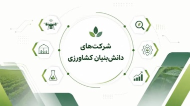 «زرین بذر سپهر»؛ شرکت برتر مرکز رشد کشاورزی و منابع طبیعی اصفهان