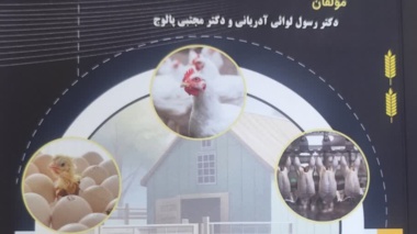 تالیف کتاب زنجیره ارزش غذا