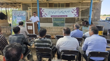 روز مزرعه ارزن مرواریدی شهرستان شهرضا