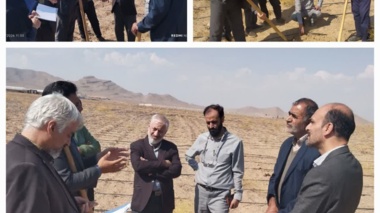 توسعه کشت گیاهان دارویی با محوریت «آنغوزه» در اصفهان