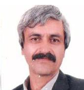 عماد شاه منصوری