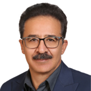 بابک خیام باشی